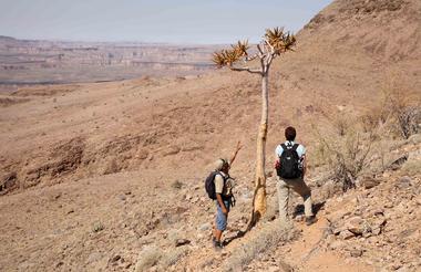 Guided hiking in the canyon 